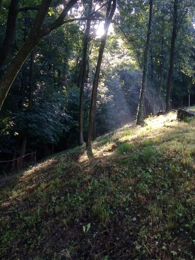 Appartamento La Casa Nel Bosco Rueglio Exterior foto