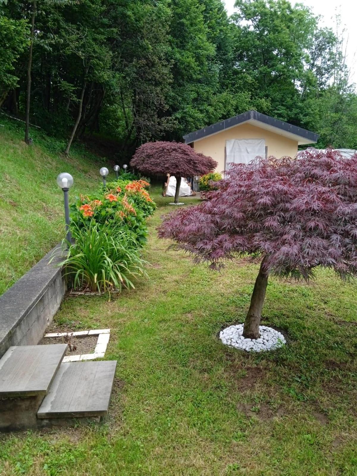 Appartamento La Casa Nel Bosco Rueglio Exterior foto